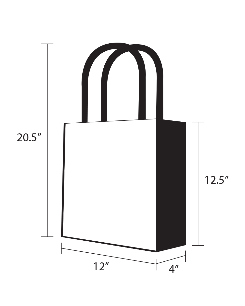 Copy of Personalized Bulk Pack -Saurus- Reusable, Great for Grocery, Shopping, Carry on Bag-1Pack(10pcs)