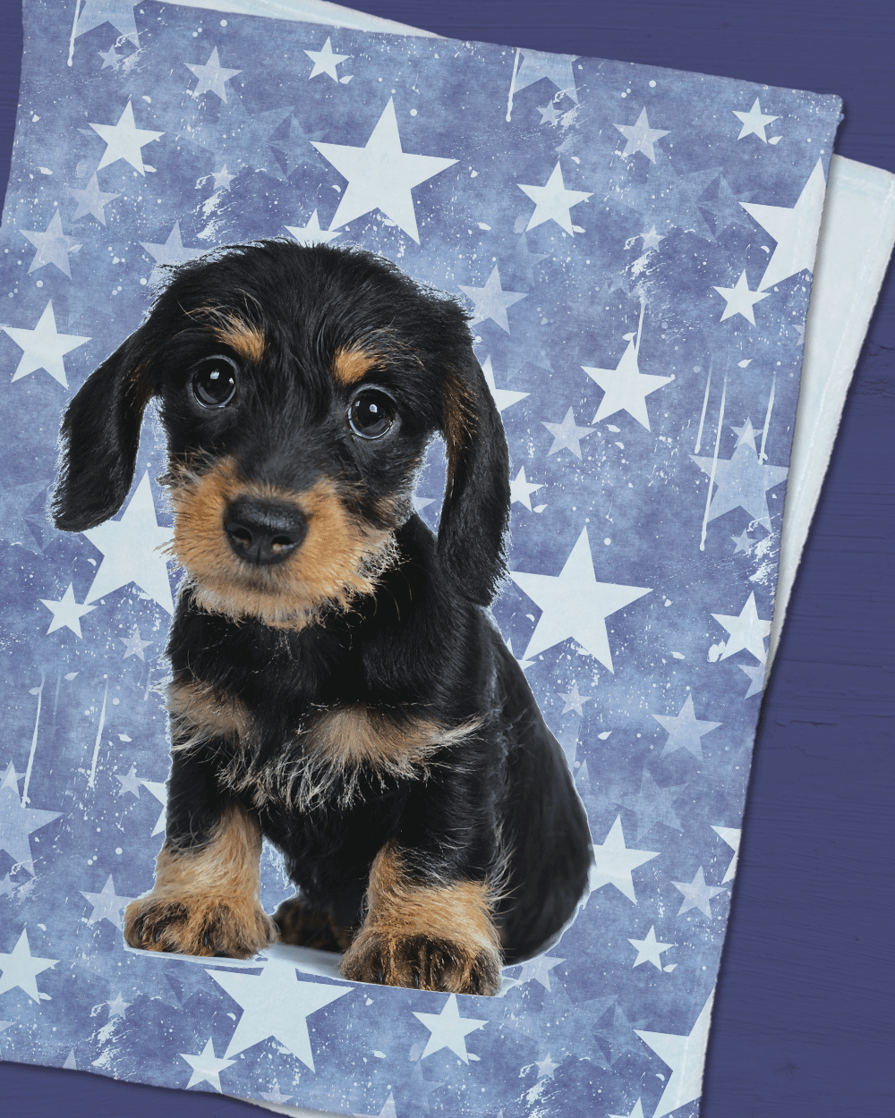 Puppy Star Minky