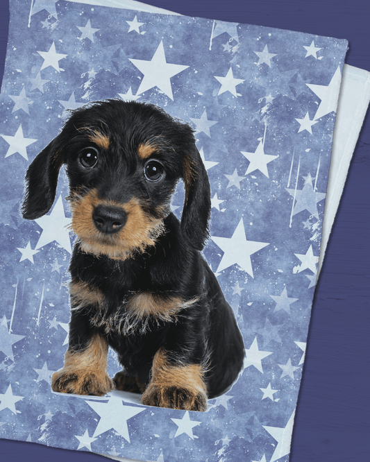 Puppy Star Minky